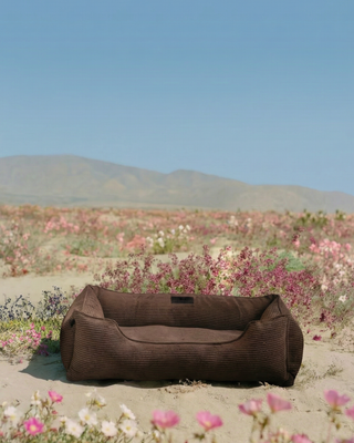 Chester & Lee | Panier en chocolat au lait pour chien