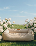 Chester & Lee | Classic Velvet Sleeper Dog Bed Beige - L