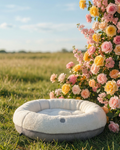 Chester & Lee | Furry Beige Donut Dog Bed - M