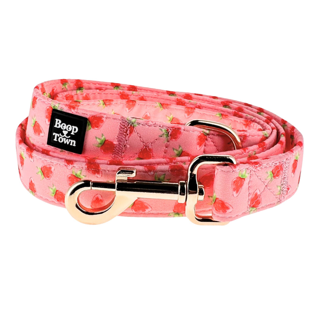 Dog Leashes