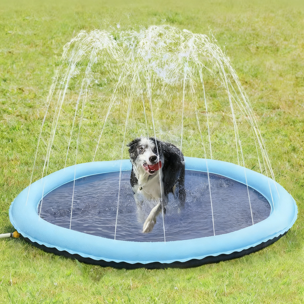 PVC thickened water spray mat for pet play