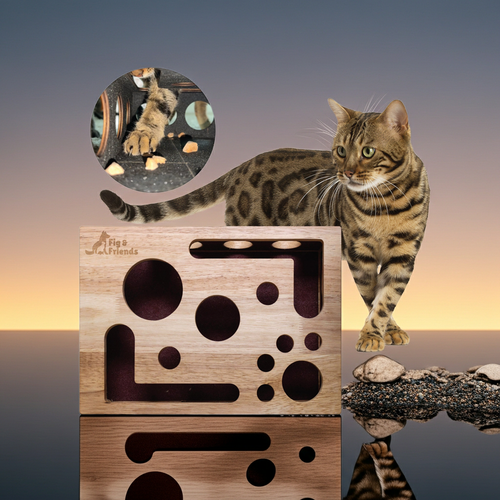 *The Original* Cat Nail File Enrichment Box