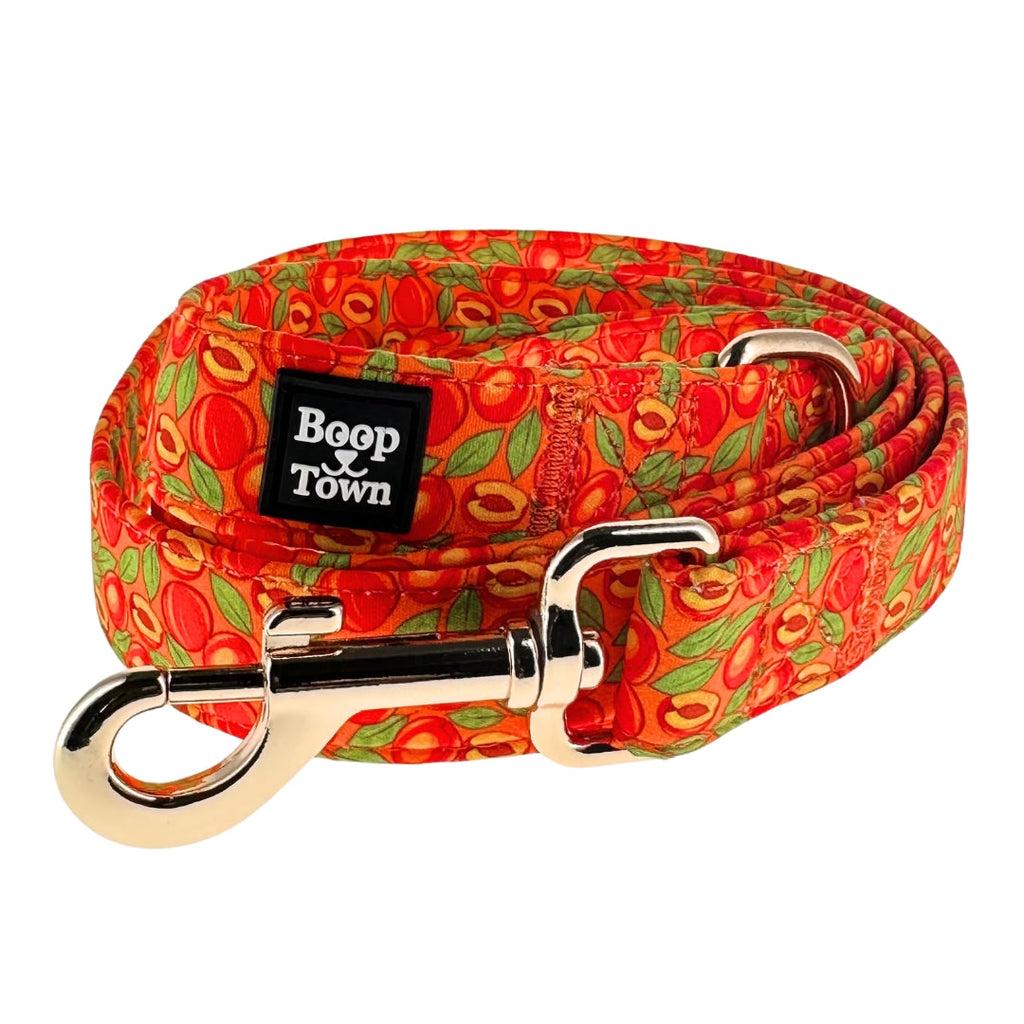 Dog Leashes