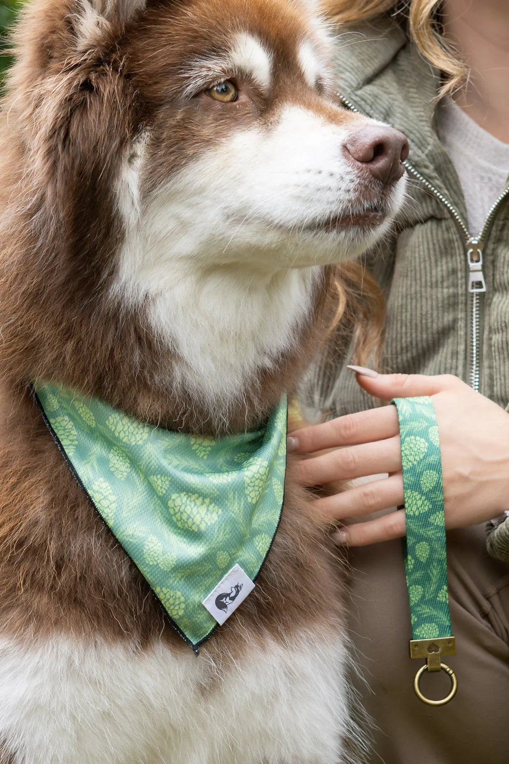 Pine Cone Pup Bandana & Matching Keychain - XL