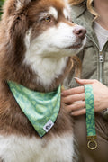 Pine Cone Pup Bandana & Matching Keychain - XL