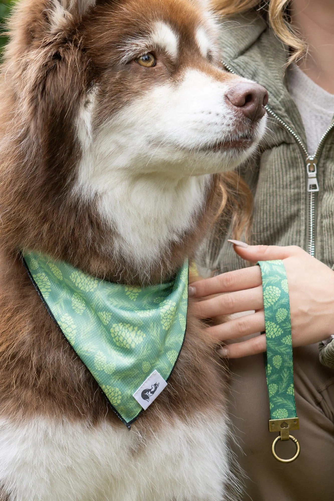 Pine Cone Pup Bandana & Matching Keychain - XL