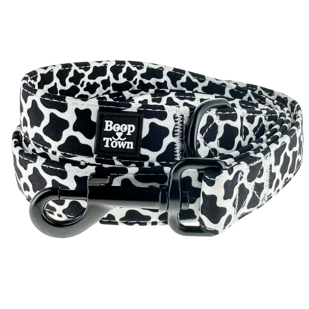 Dog Leashes