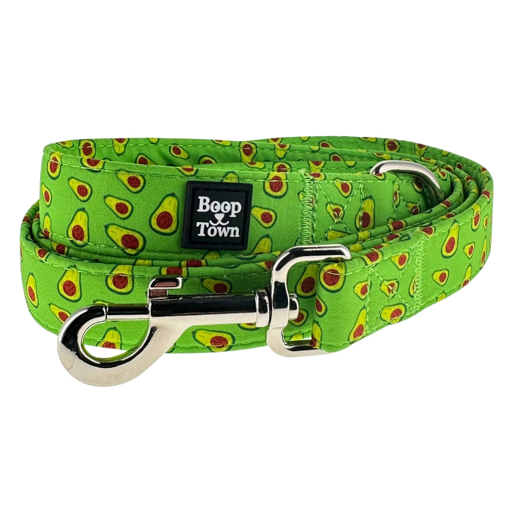 Dog Leashes