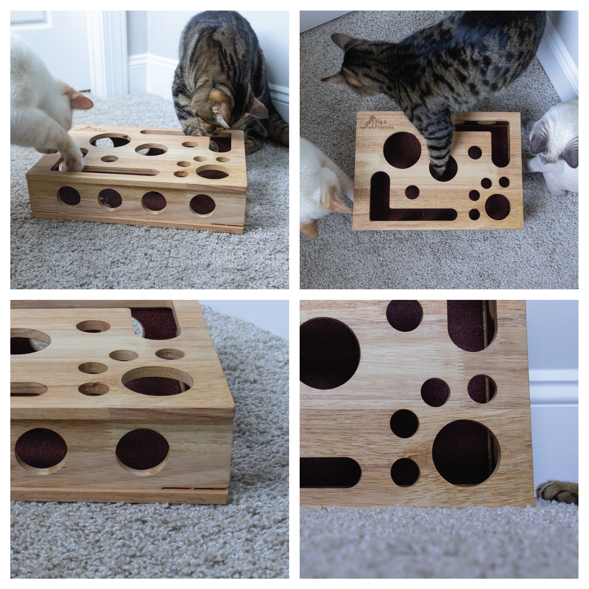 *The Original* Cat Nail File Enrichment Box