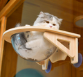 Solid wood spacecraft cat nest cat hammock hanging suction cup climbing frame balcony - Suction cup spacecraft cat bed
