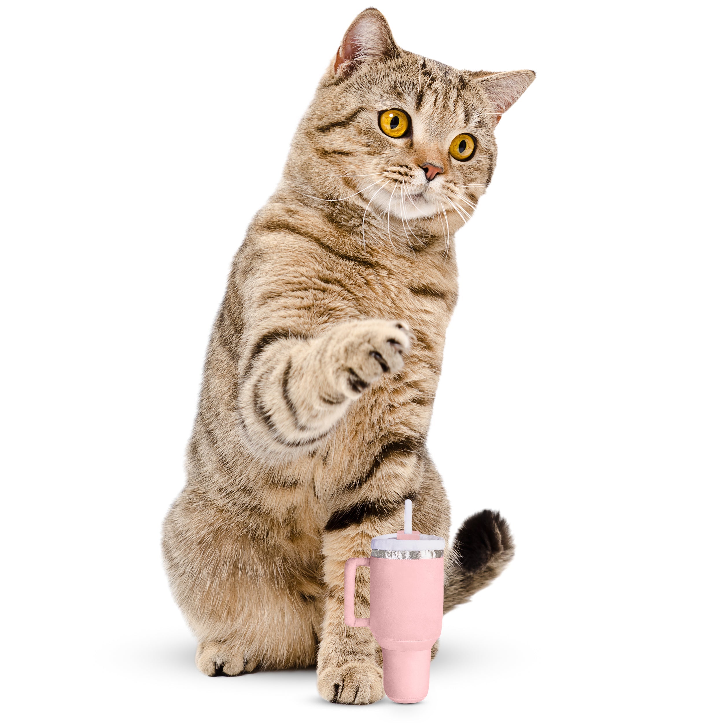 PUPROAR Kitty Cup Cat Toy | Cute Catnip & Crinkle Plush Cat Toy - Peach Pink Dust