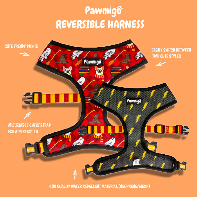 Chasing Rainbows Reversible Harness