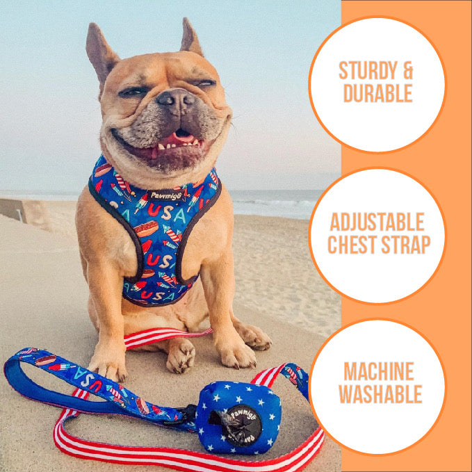 Fairytail Reversible Harness