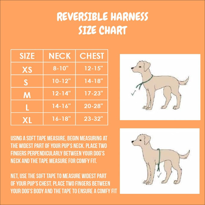 Fairytail Reversible Harness