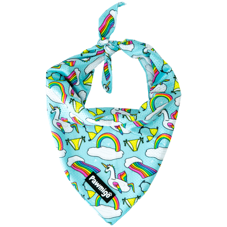 Pool Pawty Bandana