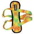 Chasing Rainbows X-Fit Harness - L