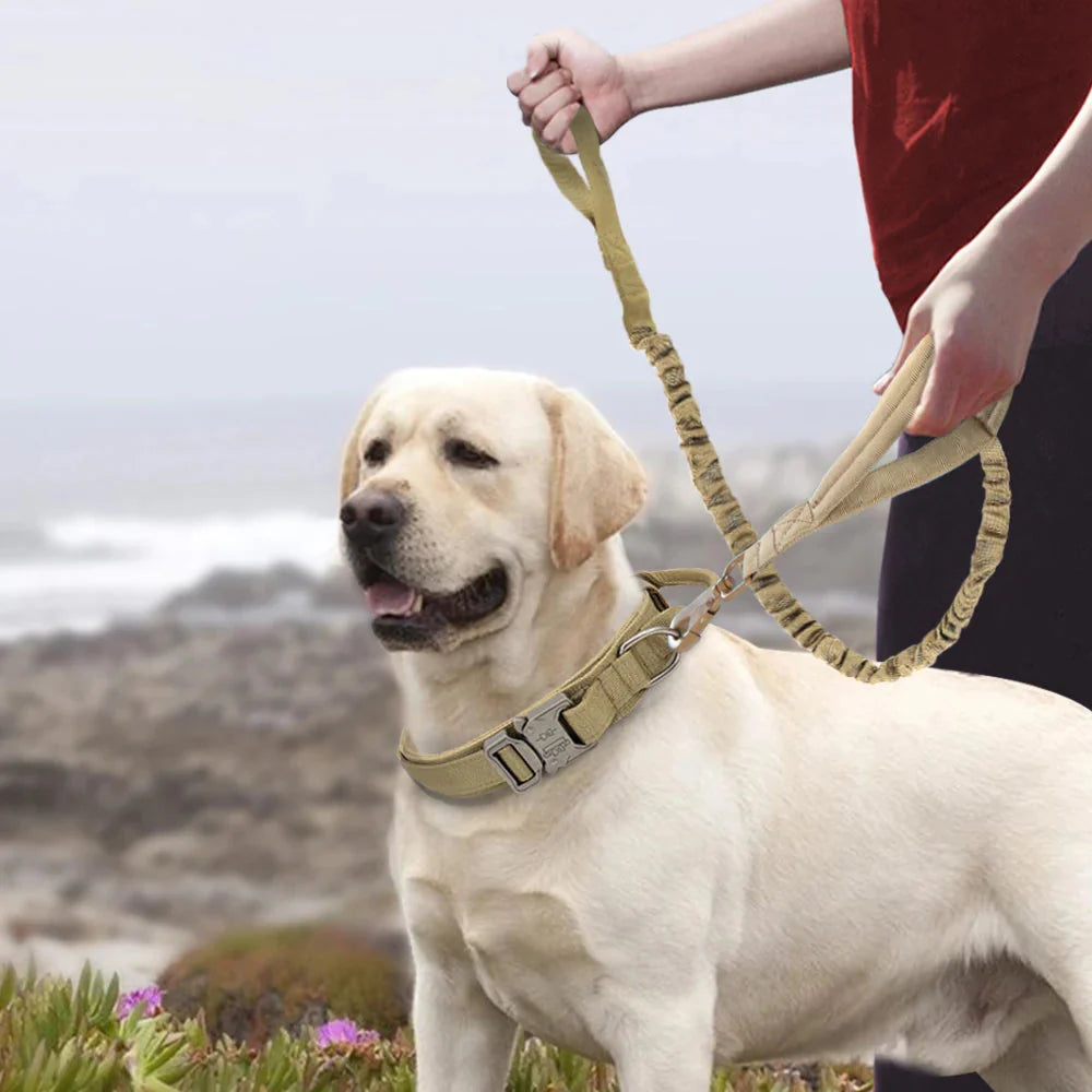 The Tactical Luxe Collar & Leash