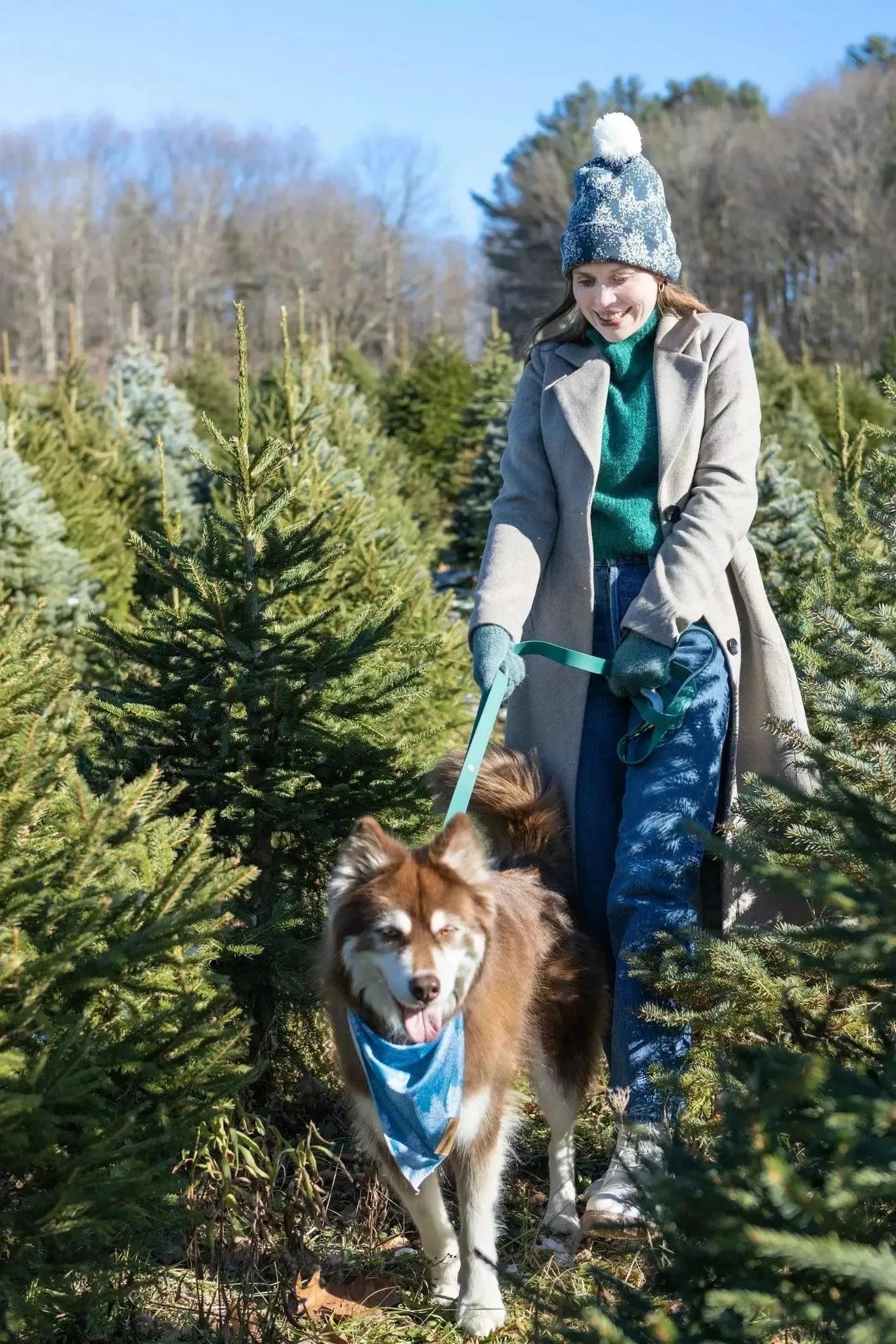 Siberian Spruce Dog Bandana & Matching Keychain